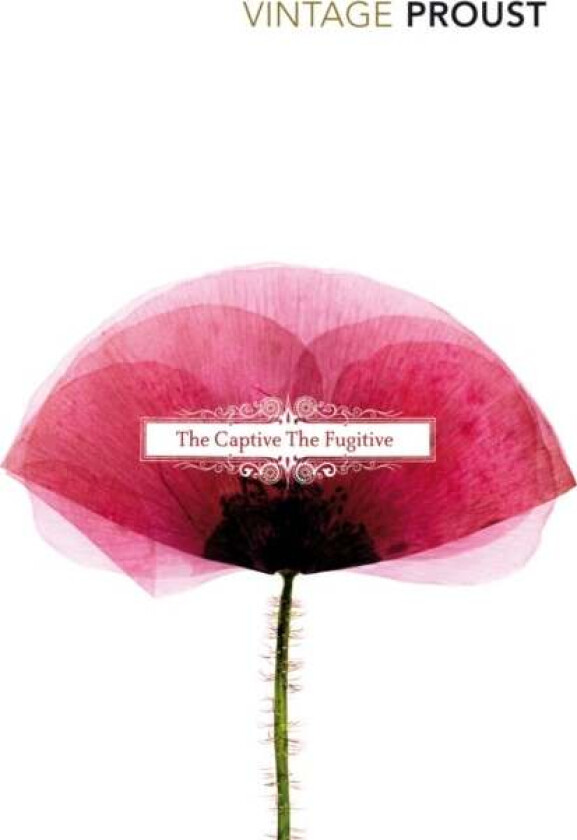 In Search of Lost Time, Vol 5 av Marcel Proust