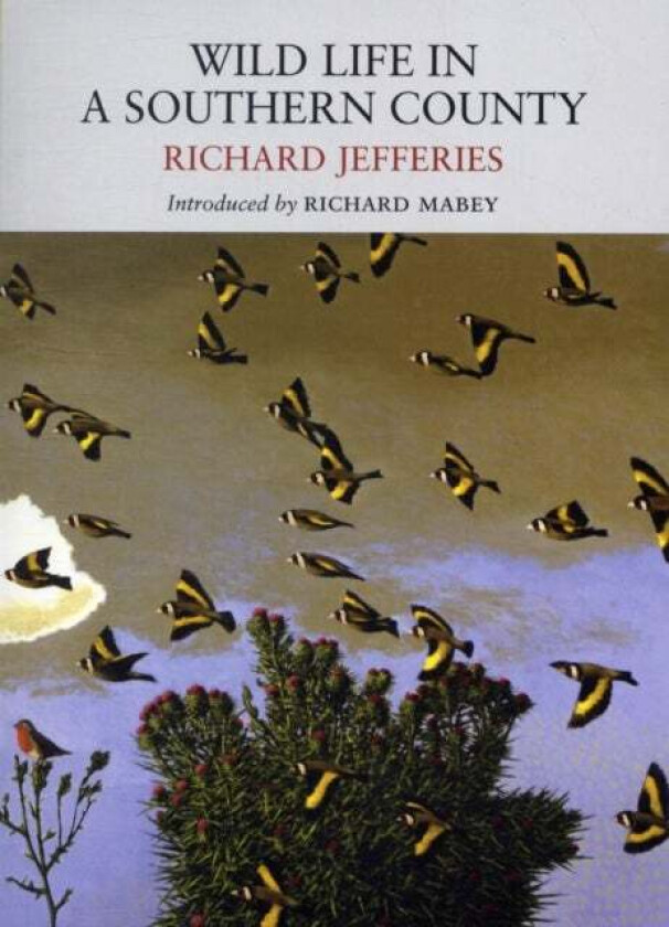 Wild Life in a Southern County av Richard Jefferies