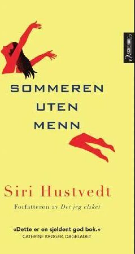 Sommeren uten menn av Siri Hustvedt