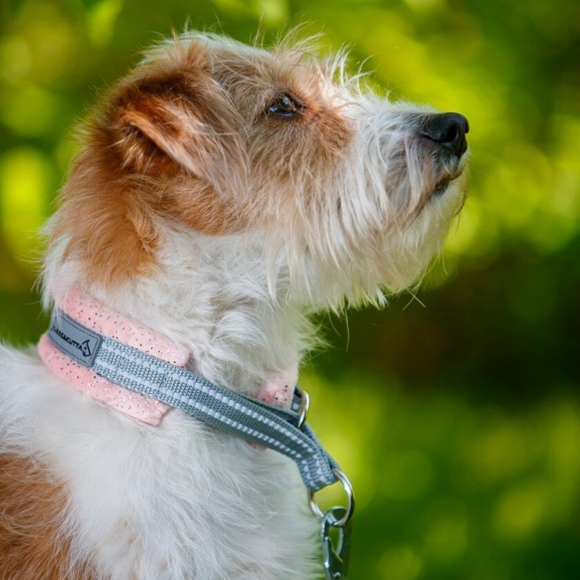 Kusse & Kutta Hundehalsbånd Myk Glitter Fersken (4)
