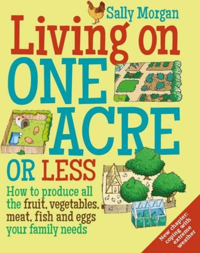 Living on One Acre or Less av Sally Morgan