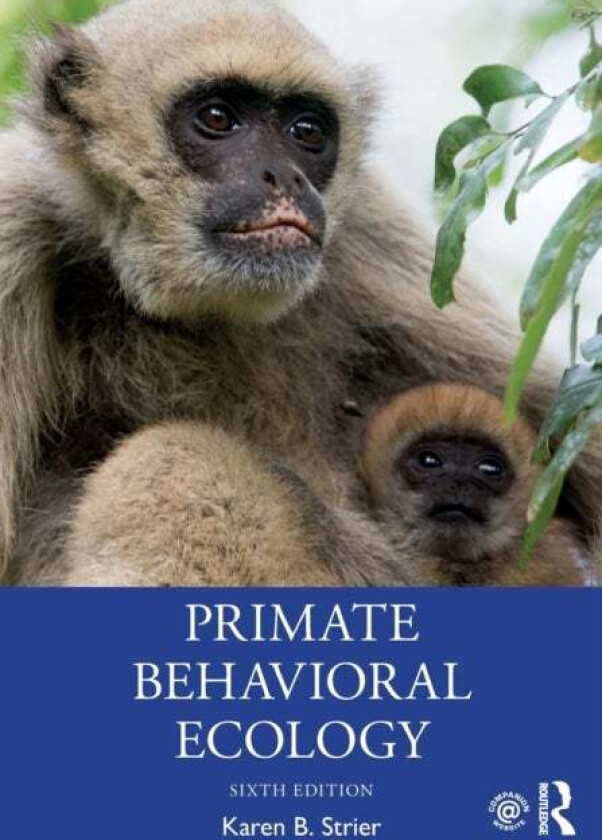 Primate Behavioral Ecology av Karen B. Strier