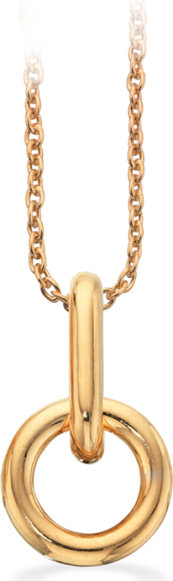 Forgylt Sølv Halskjede 236612