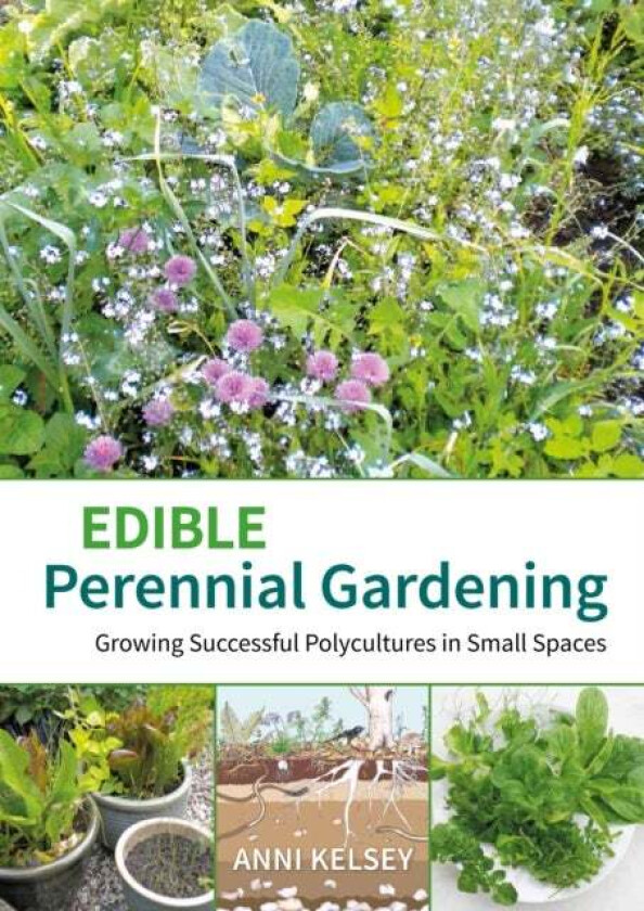Edible perennial gardening av Anni Kelsey