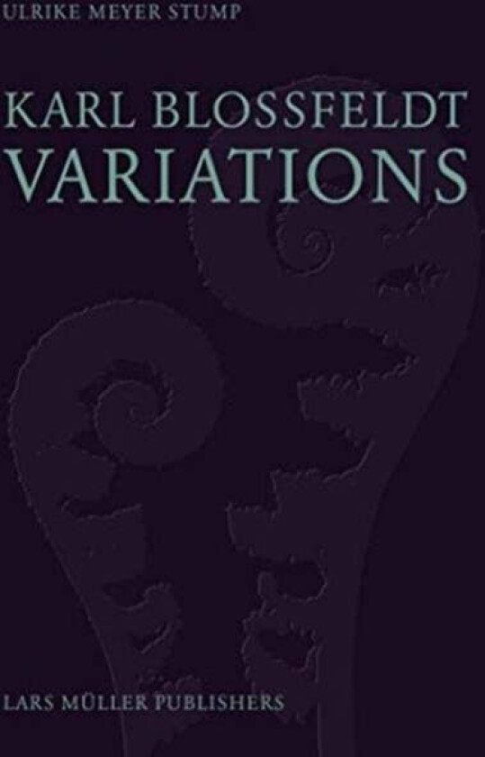 Karl Blossfeldt: Variations av Ulrike Meyer Stump