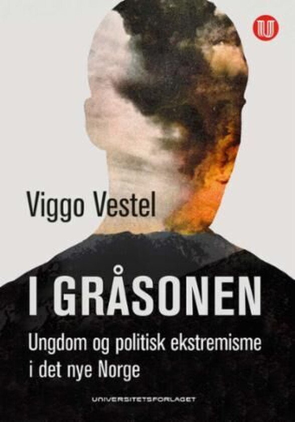 I gråsonen av Viggo Vestel