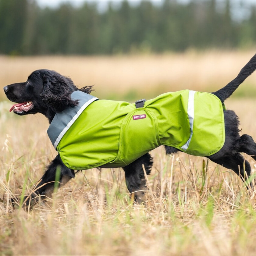 Bilde av Pomppa Sade Regndekken Hund Grøn (37 cm)