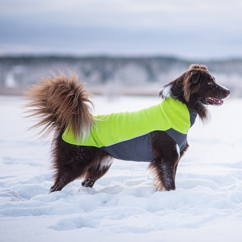 Pomppa Jumppa Fleecetrøye Hund Grøn (80 cm)