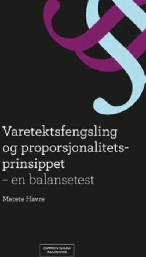 Varetektsfengsling og proporsjonalitetsprinsippet av Merete Havre