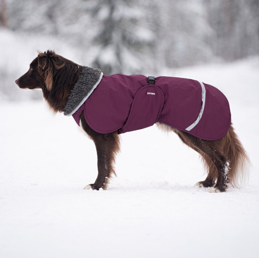 Pomppa Toppa Vinterdekken Hund Lilla (25 cm)