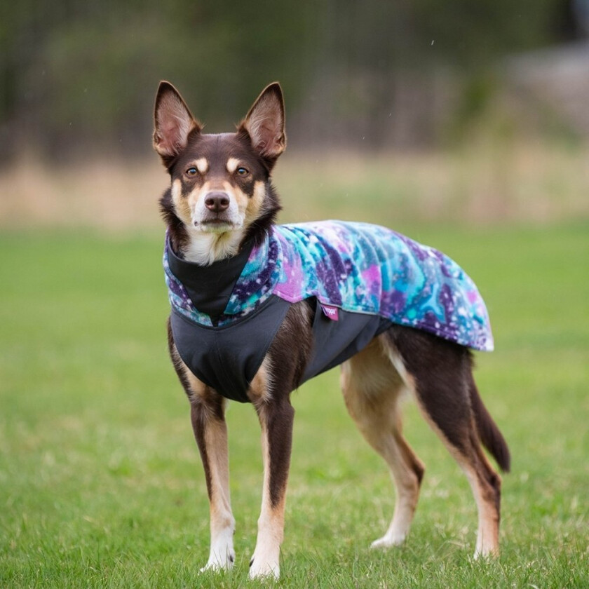 Pomppa Jumppa Fleecetrøye Hund Lilla & Blå (60 cm)