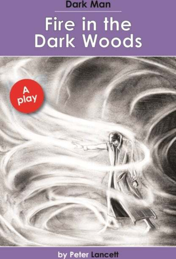 Fire in the Dark Woods av Lancett Peter