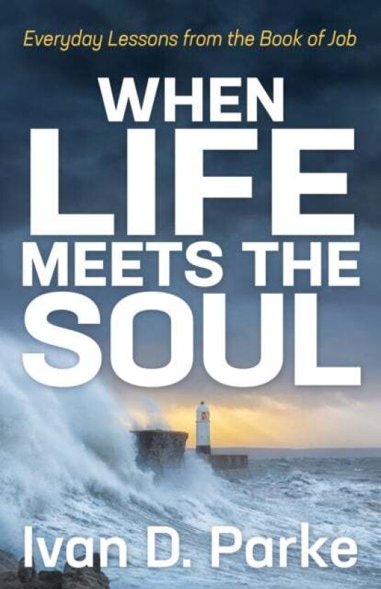 When Life Meets the Soul av Ivan D. Parke