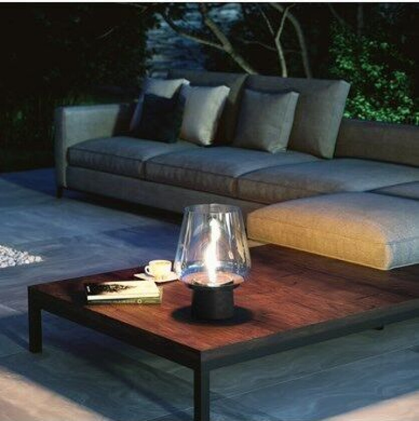 Amaryllis 25 MgO Sort