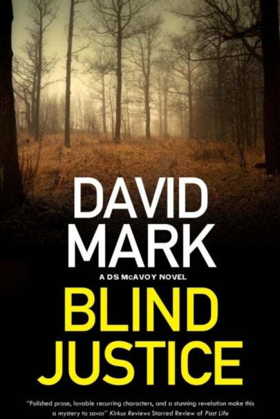Blind Justice av David Mark