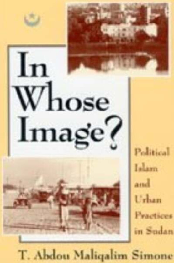 In Whose Image? av T. Abdou Maliqalim Simone