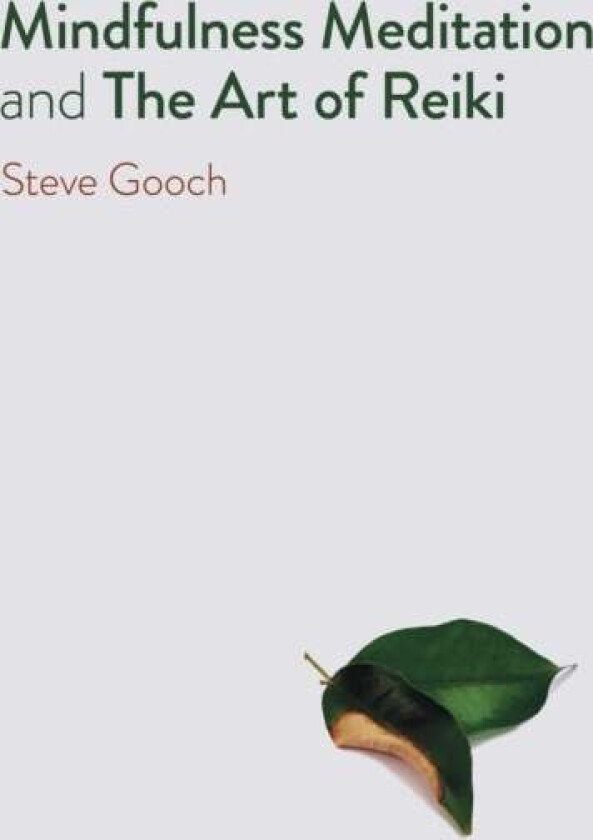 Mindfulness Meditation and The Art of Reiki av Steve Robert Gooch