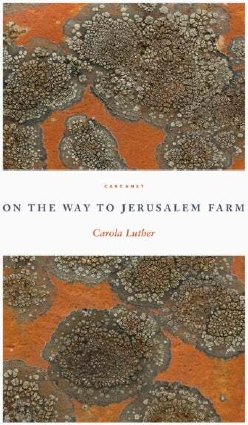 On the Way to Jerusalem Farm av Carola Luther