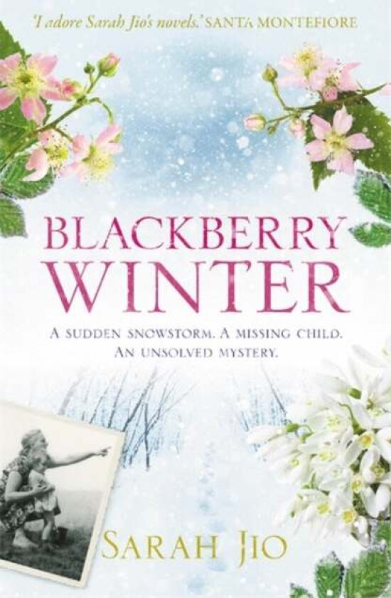 Blackberry Winter av Sarah Jio