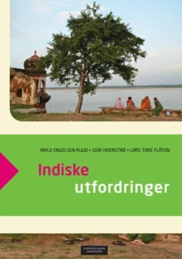 Indiske utfordringer av Lars Tore Flåten, Geir Heierstad, Arild Engelsen Ruud