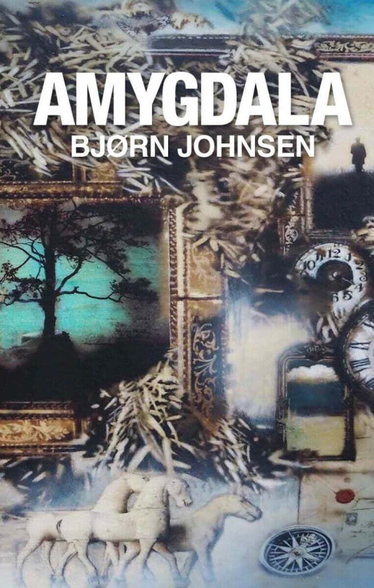 Amygdala Av Bjørn Johnsen