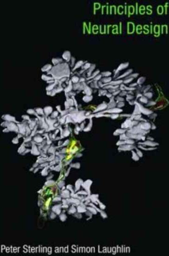 Principles of Neural Design av Peter Sterling, Simon (Professor of Neurobiology University of Cambridge) Laughlin