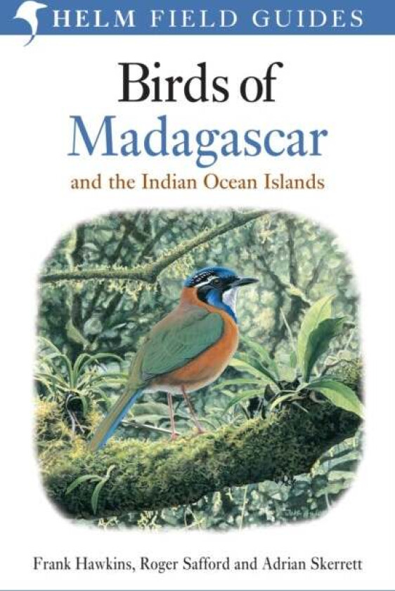 Birds of Madagascar and the Indian Ocean Islands av Roger Safford, Adrian Skerrett, Frank Hawkins