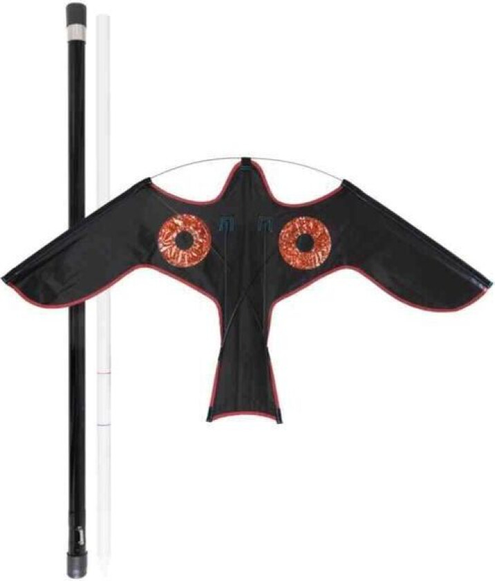 Bilde av Blackbird Fugleskremsel svart, 5 m