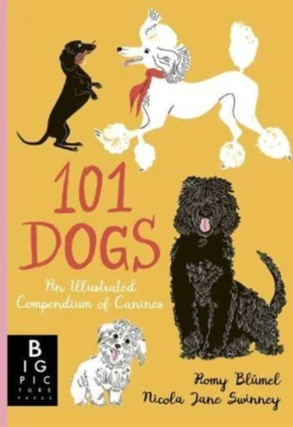 101 Dogs av Nicola Jane Swinney