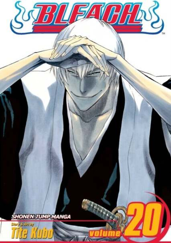 Bleach, Vol. 20 av Tite Kubo