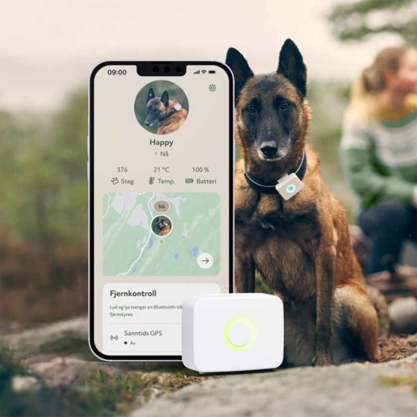 Bilde av LilDog GPS-Tracker til Hund