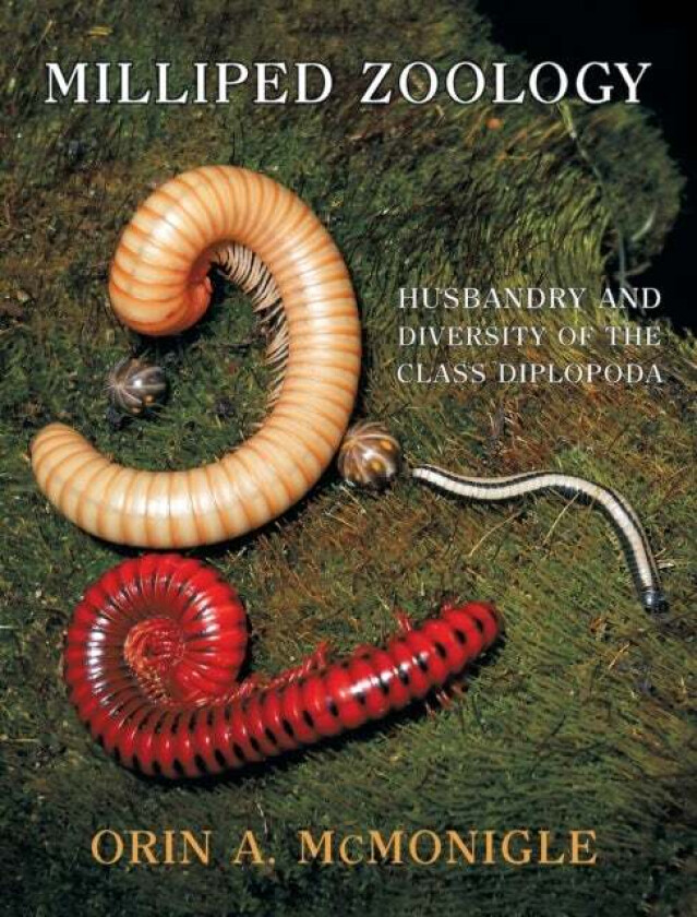 Milliped Zoology Av Orin A Mcmonigle