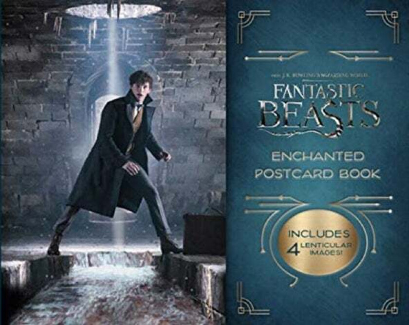 Harry Potter and the Goblet of Fire Postcard Book av Titan Books