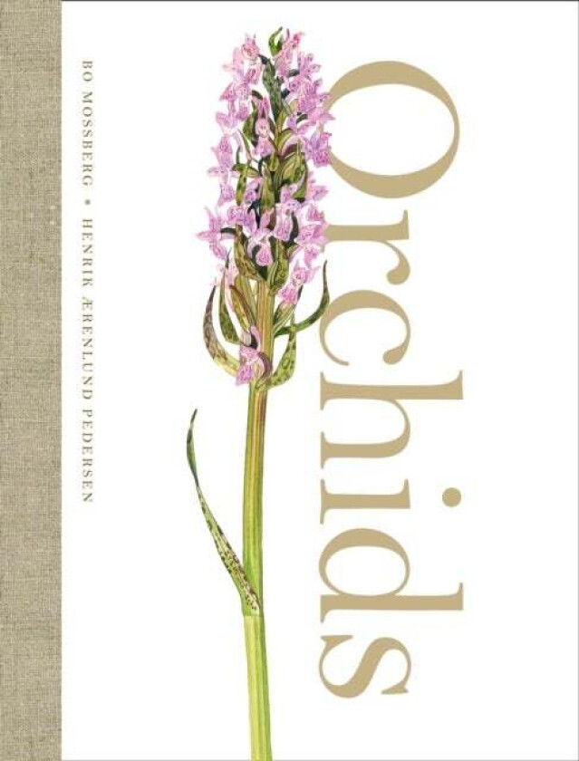 Orchids av Henrik Aerenlund Pedersen, Bo Mossberg