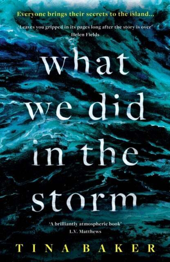 What We Did In The Storm av Tina Baker
