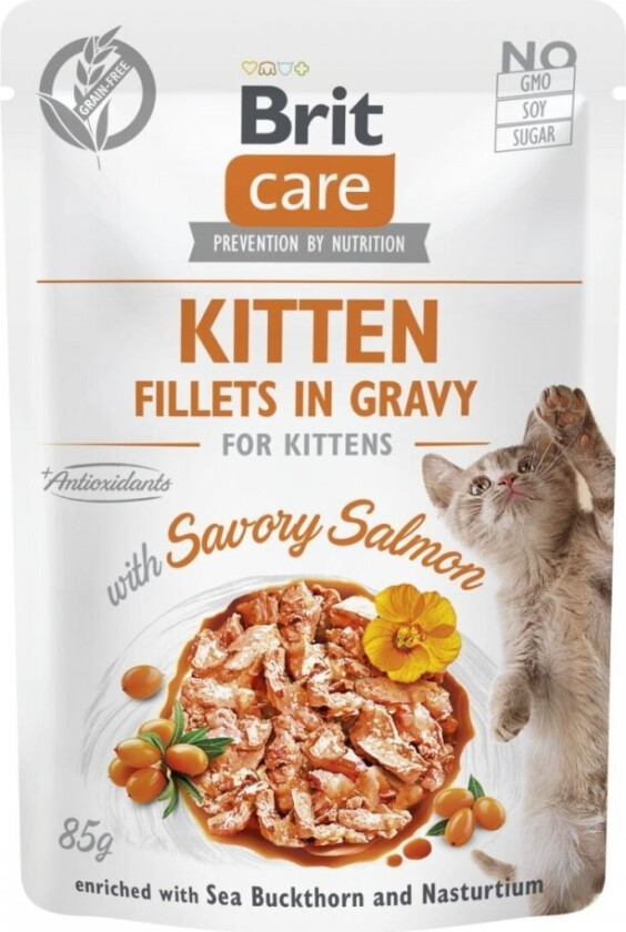 Bilde av Brit Care Cat gravy Kitten laks 85 g