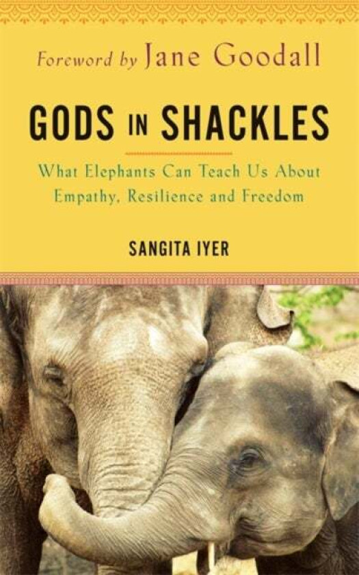 Gods in Shackles av Sangita Iyer