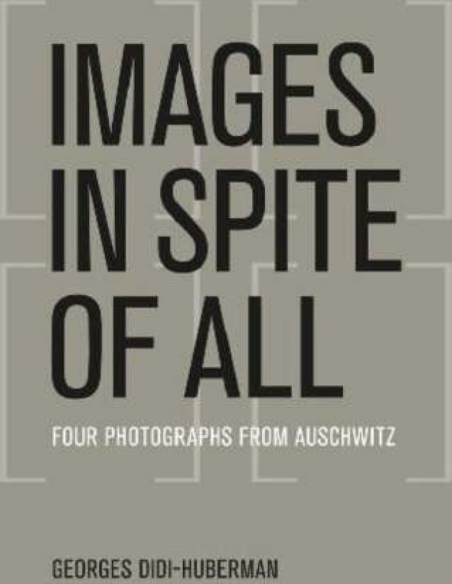 Images in Spite of All av Georges Didi-Huberman