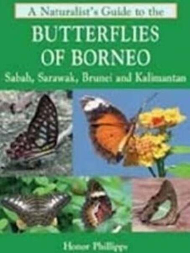 A Naturalist's Guide to the Butterflies of Borneo av Honor Phillipps