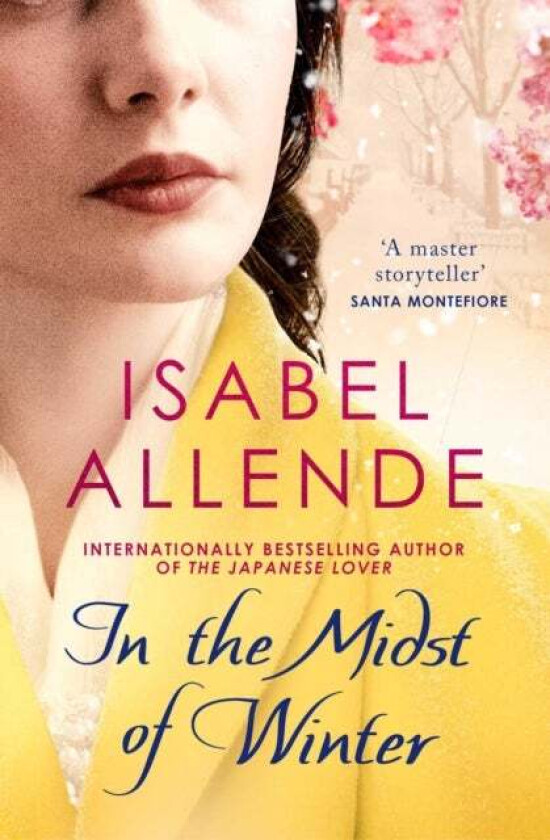 In the midst of winter av Isabel Allende