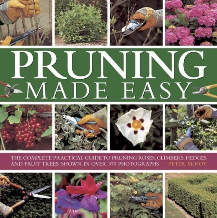 Pruning Made Easy av Mchoy Peter