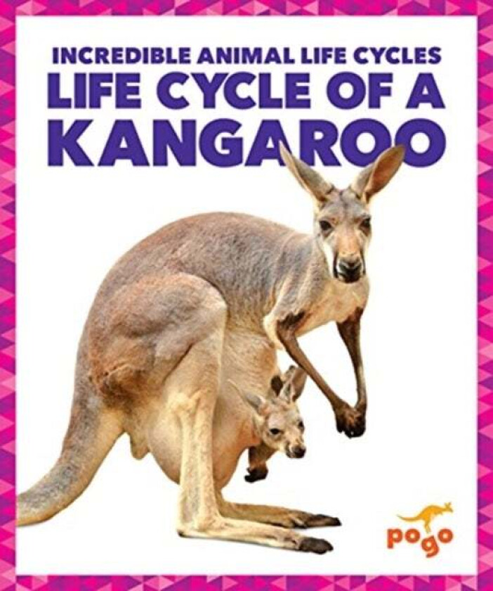 Life Cycle of a Kangaroo av Karen Latchana Kenney