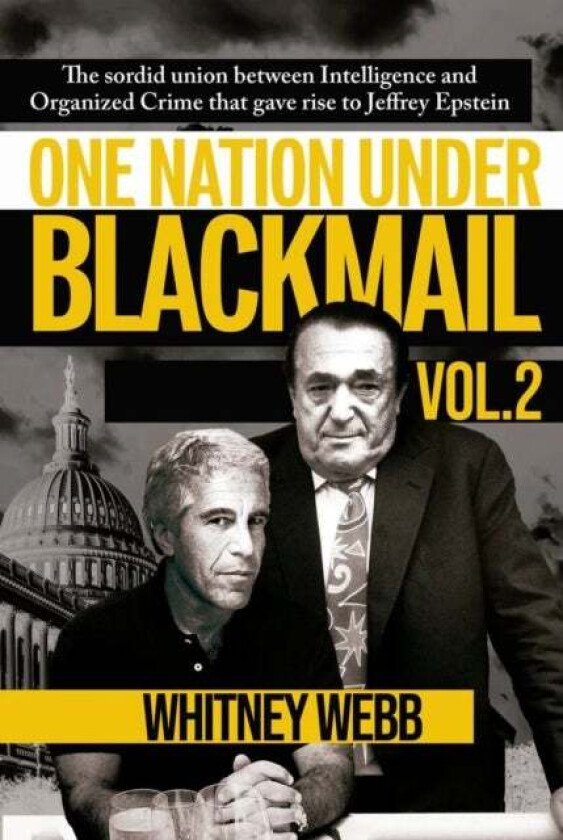 One Nation Under Blackmail - Vol. 2 av Whitney Alyse Webb