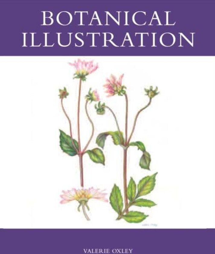 Botanical Illustration av Valerie Oxley