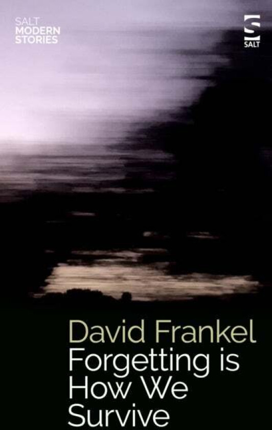 Forgetting is How We Survive av David Frankel