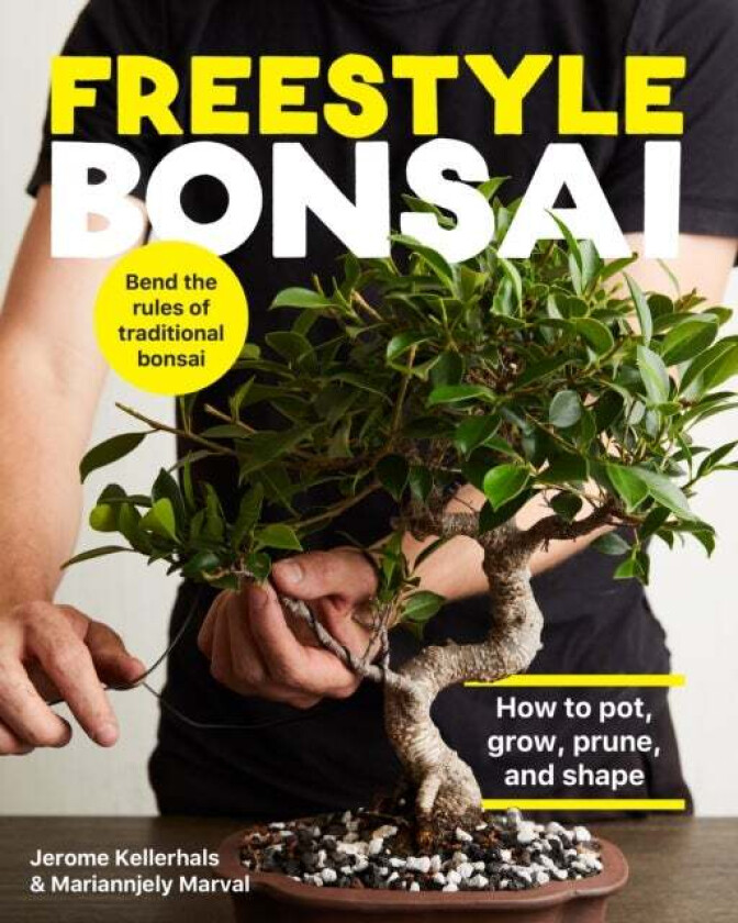 Freestyle Bonsai av Jerome Kellerhals, Mariannjely Marval
