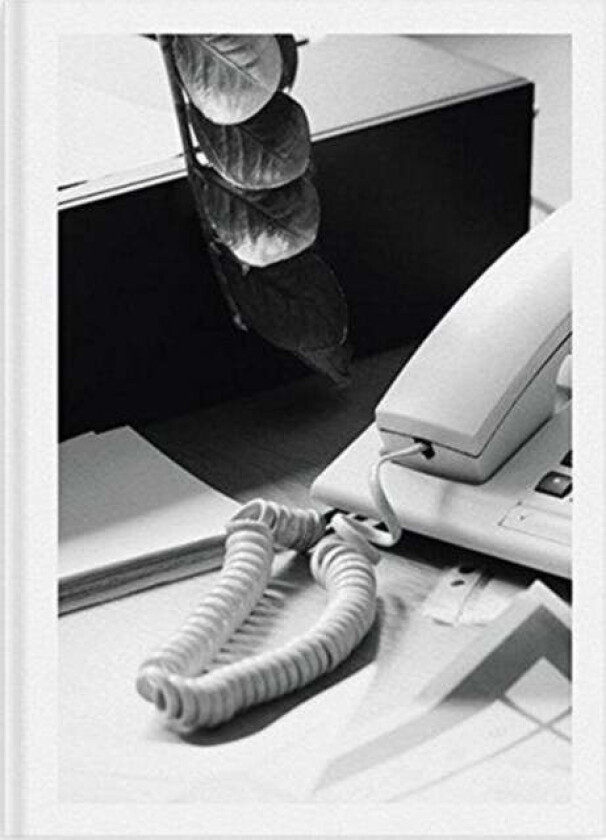 Buropflanze (Office Plant)