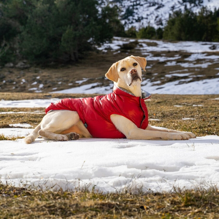 FuzzYard Hakuba Hundedekken Rød (5)