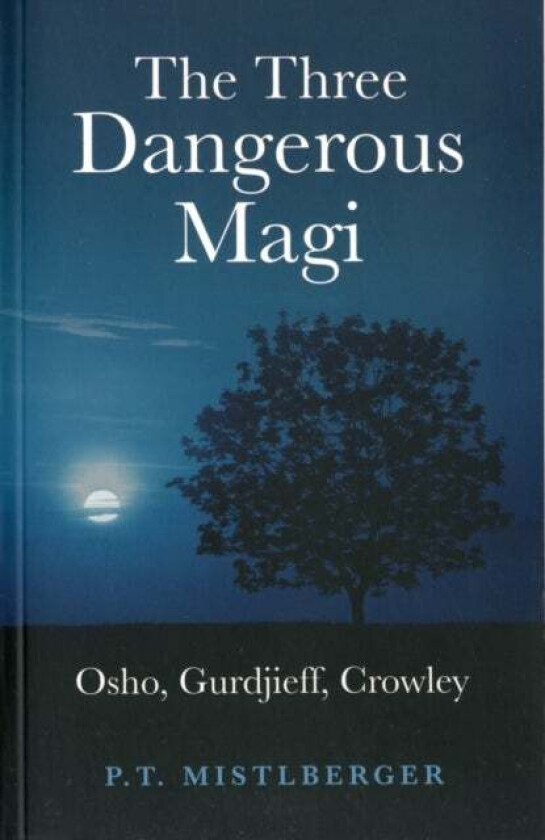 The Three Dangerous Magi av P. T. Mistlberger