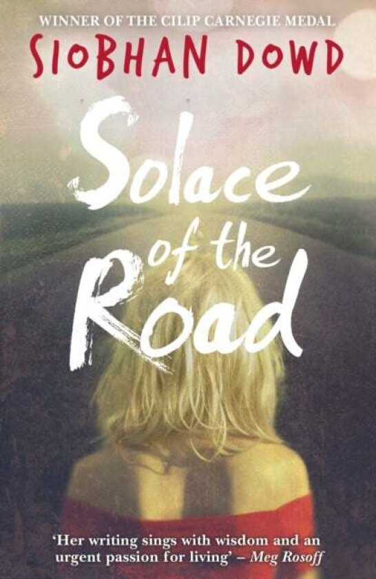 Solace of the Road av Siobhan Dowd